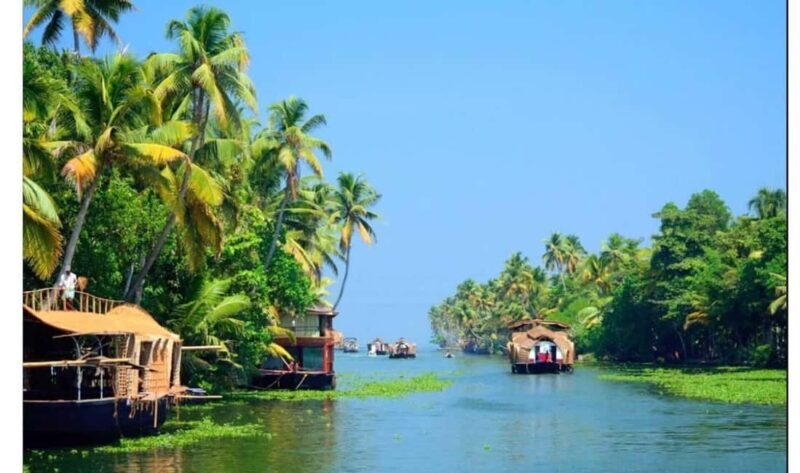 From Cochin: 5-Day Kerala Munnar, Thekkady, & Alleppey Tour - Exploring the 5-Day Kerala Itinerary