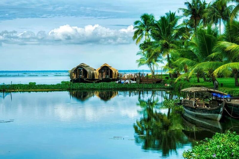 From Cochin : Alleppey Houseboat day cruise - Round trip - Exploring Kerala’s Backwaters: A Detailed Review