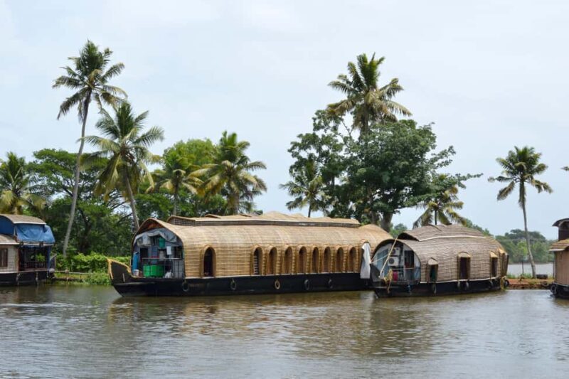 From Cochin: Alleppey Houseboat Day Tour with Lunch - Key Points