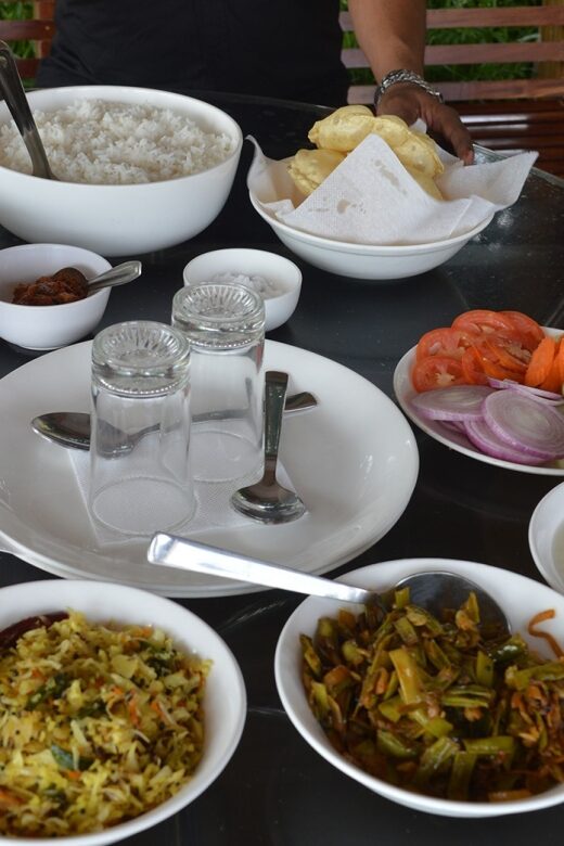 From Cochin: Athirappilly Waterfall Excursion with Lunch - From Cochin: Athirappilly Waterfall Excursion with Lunch — A Detailed Review