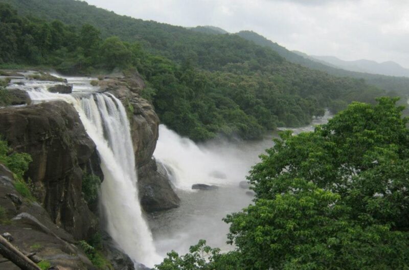 From Cochin: Athirappilly Waterfall Excursion with Lunch - Key Points