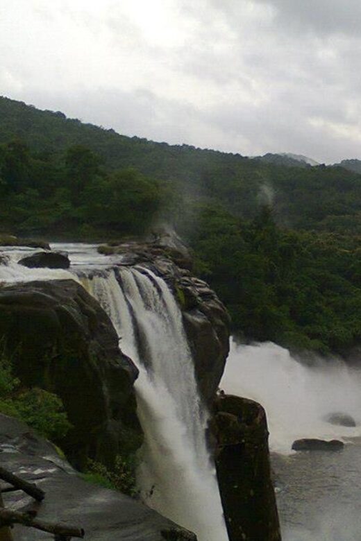 From Cochin: Athirappilly Waterfall Excursion with Lunch - FAQ