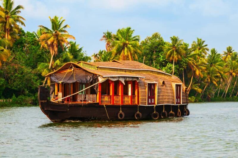 From Cochin: Day Tour of Alleppey House Boat - Why This Tour Works (or Not)