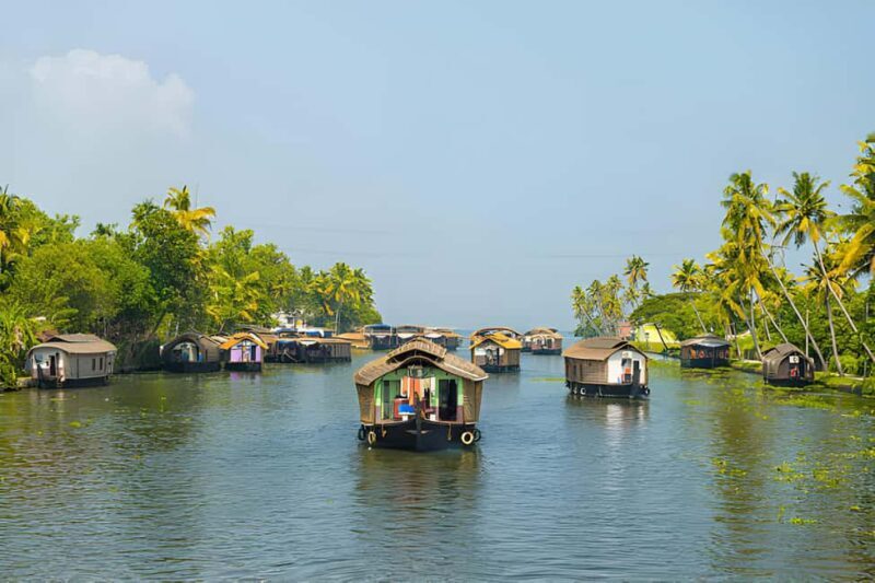 From Cochin: Day Tour of Alleppey houseboat with Lunch - Key Points