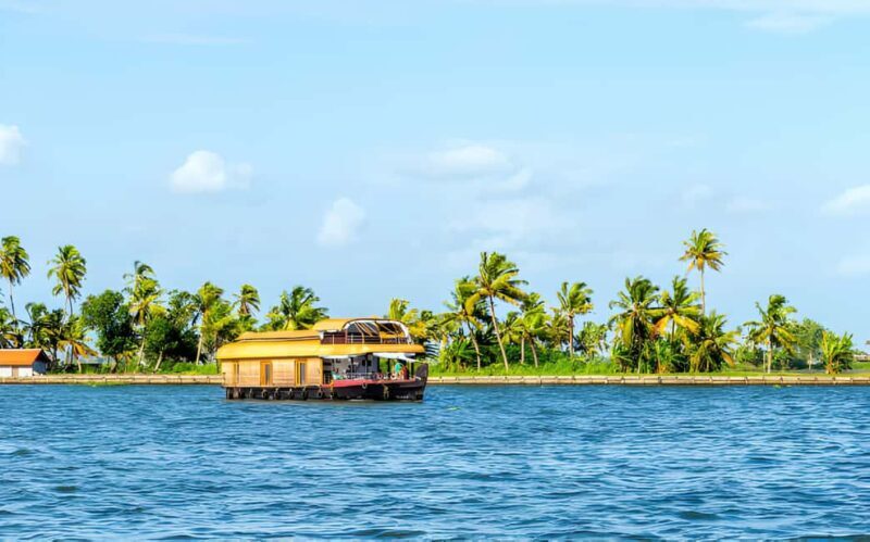 From Cochin: Day Tour of Alleppey houseboat with Lunch - In-Depth Experience Breakdown