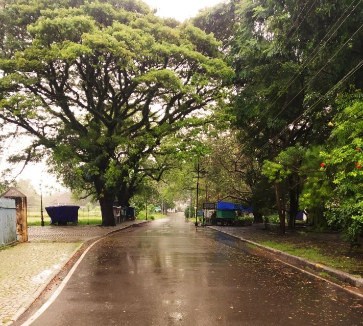 From Cochin: Fort Kochi and Mattancherry Sightseeing Tour - Considerations and Tips