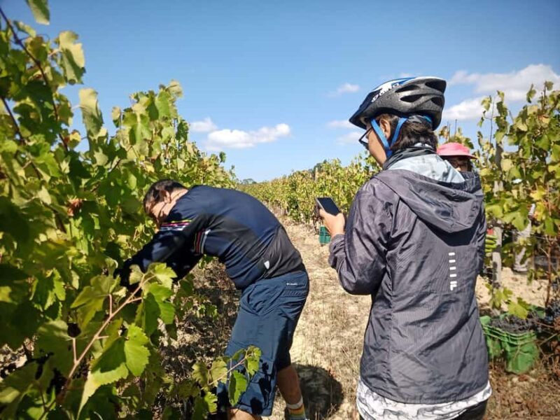 From Coimbra: Cycling in the Vineyards of Bairrada - Frequently Asked Questions