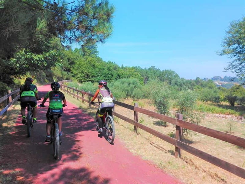 From Coimbra: Cycling on the Dão Ecotrail - Practical Details and Tips