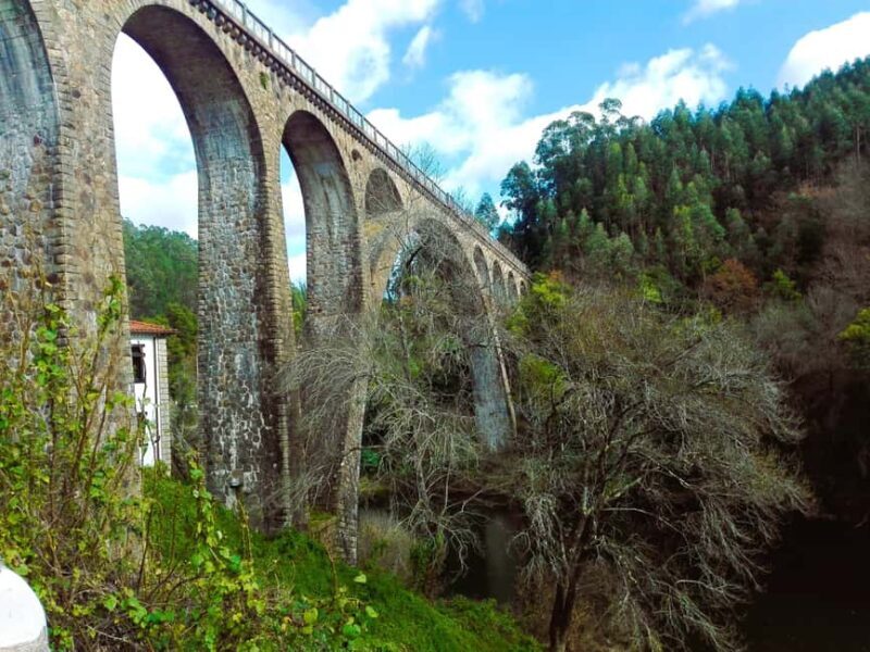 From Coimbra: Cycling on the Vouga Eco-Trail - From Coimbra: Cycling on the Vouga Eco-Trail – A Complete Guide