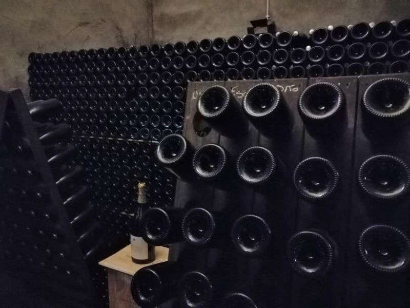 From Coimbra: Dão Wine Route Experience - From Coimbra: Dão Wine Route Experience