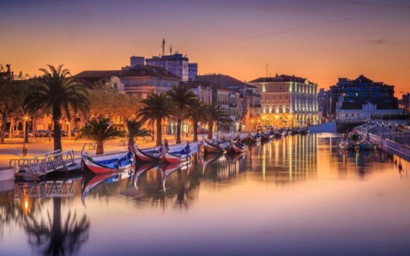 From Coimbra: Porto, Aveiro and Douro in Private with Tasting and Cruise - Final Thoughts