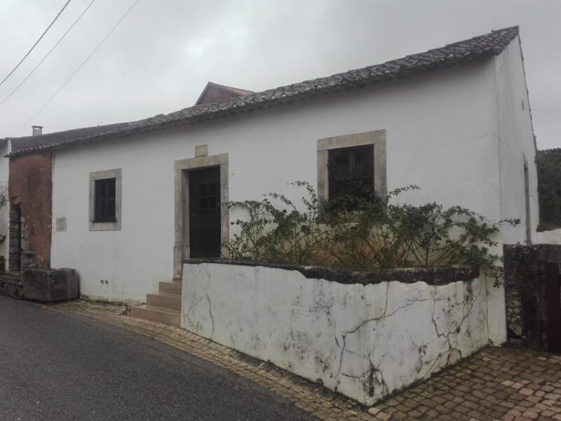 From Coimbra: Sanctuary of Fátima and village of the Little Shepherds - Who Should Consider This Tour?