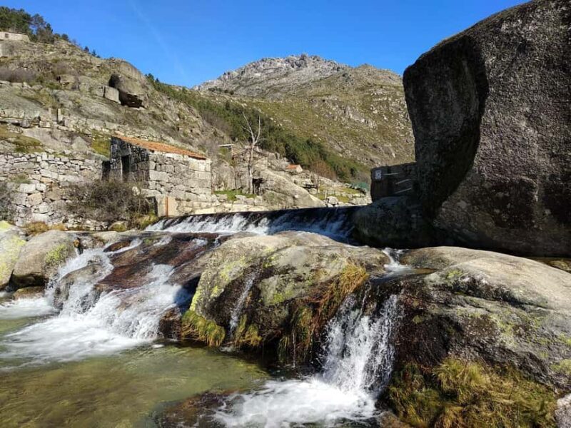 From Coimbra: Serra da Estrela Natural Park Day Trip - A Deep Dive into the Experience