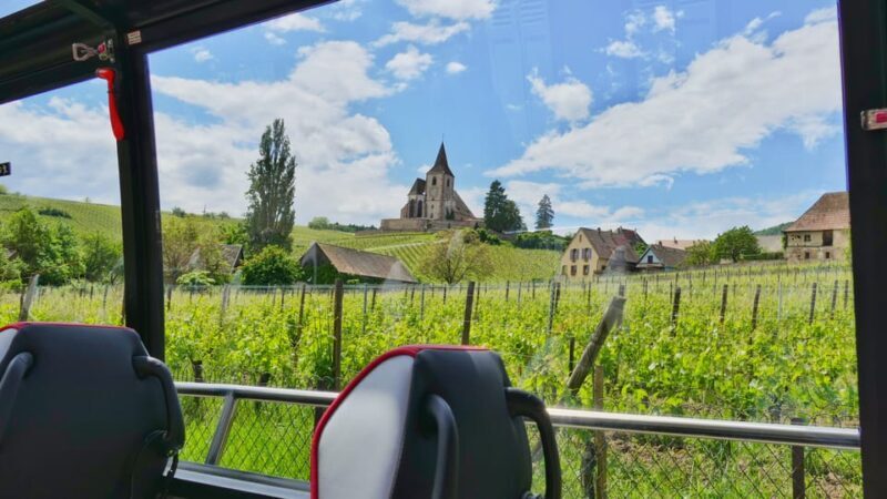 From Colmar: Alsace Medieval and Wine Tasting Day Tour - The Sum Up