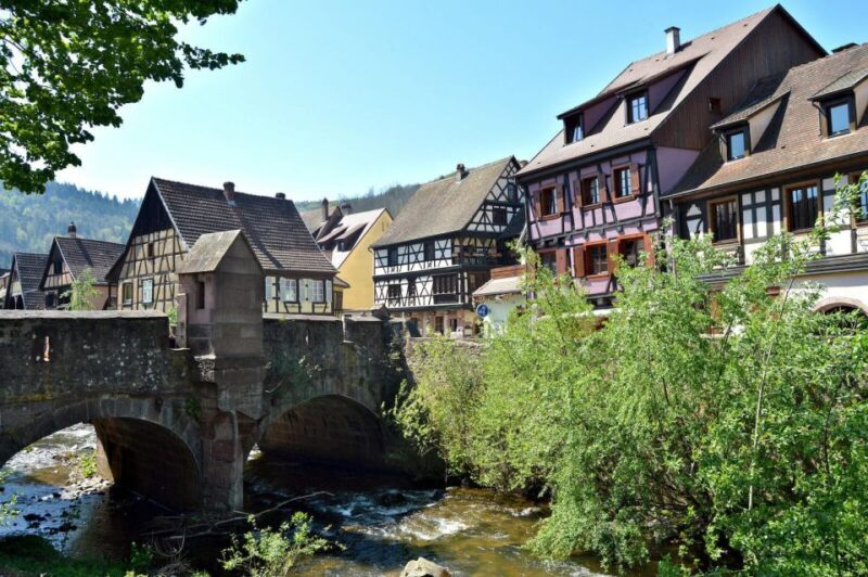 From Colmar: Alsace wine route tour Full Day - The Itinerary in Detail: What to Expect