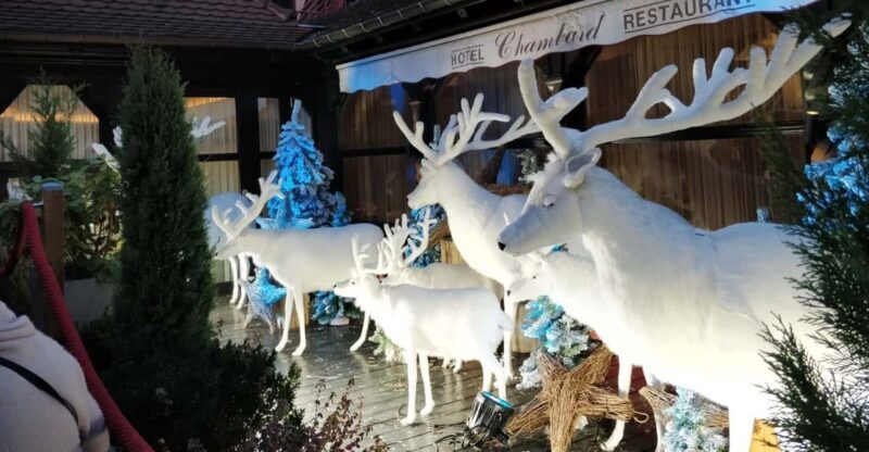 From Colmar: Christmas Markets Across 3 Borders - Authenticity and Value