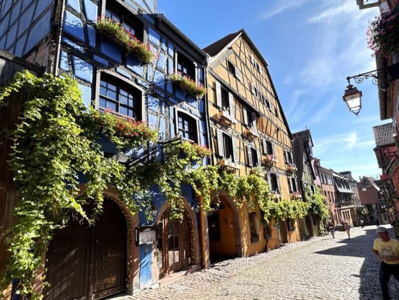 From Colmar: Private excursion to Alsace villages and wines with a local guide - Exploring the Itinerary in Detail