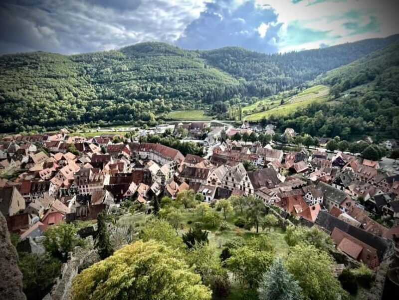 From Colmar: Private excursion to Alsace villages and wines with a local guide - Potential Considerations