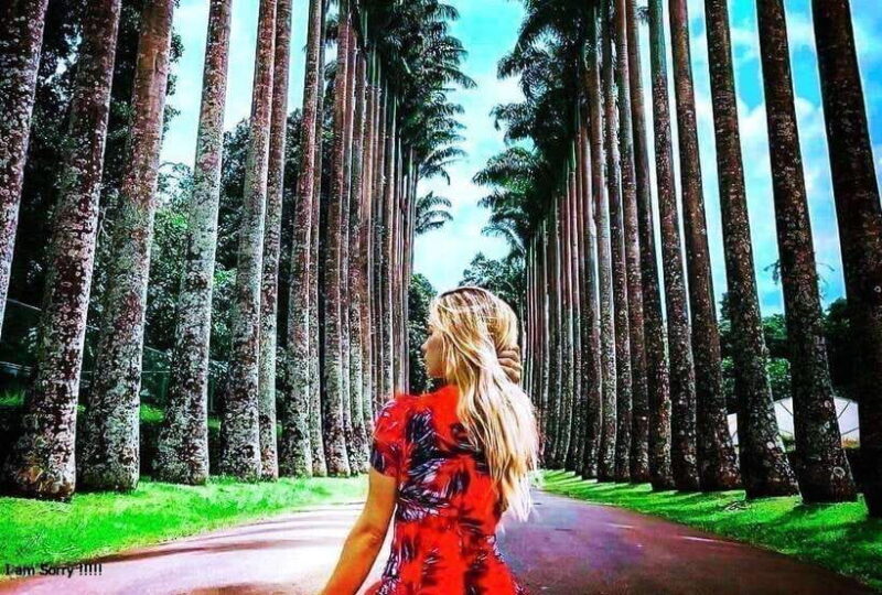 From Colombo: 2-Day Nuwara Eliya, Kandy, and Sigiriya Tour - Exploring the Itinerary in Detail