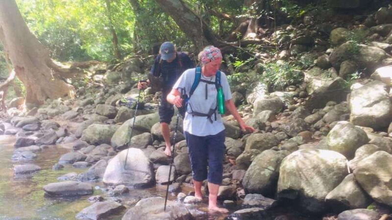 From Colombo: 4-Day Hill Country Tour with Train Ride - Who Is This Tour Best Suited For?