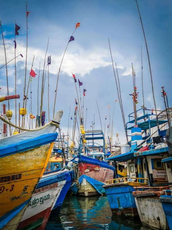 From Colombo: All Inclusive Day Tour to Galle - FAQ