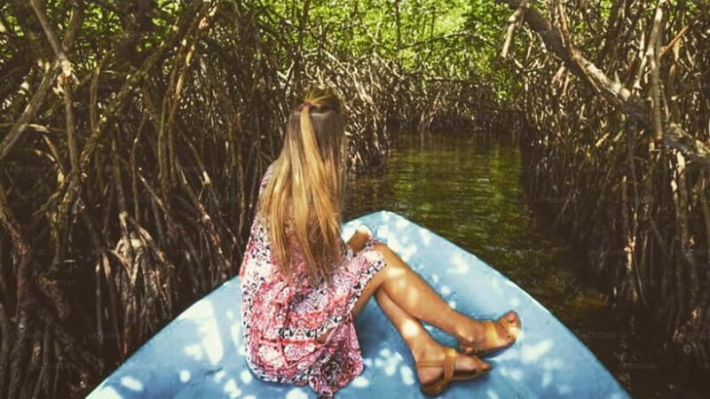 From Colombo: Galle Fort & Jungle Beach, Bentota Day Tour - The Sum Up