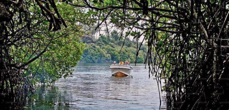 From Colombo: Galle Fort & Jungle Beach, Bentota Day Tour - FAQ