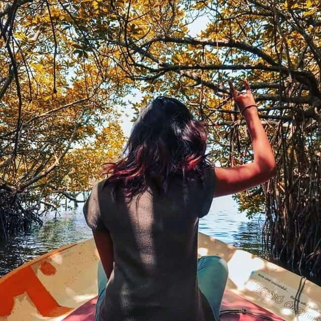 From Colombo: Galle Fort, Madu River, Bentota Day Tour - Key Points