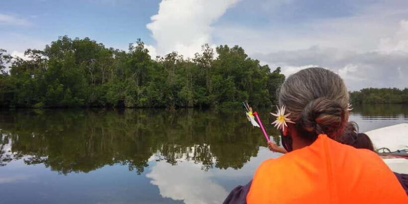 From Colombo: Galle Guided Tour with Herbal Massage - Key Points