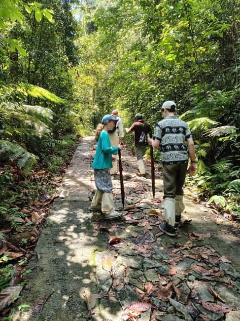 From Colombo/Kalutara: Full-Day Sinharaja Guided Eco Trek - Exploring Sinharaja: What You Can Expect