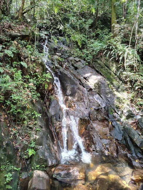 From Colombo/Kalutara: Full-Day Sinharaja Guided Eco Trek - FAQ