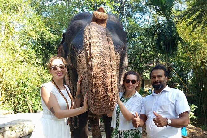 From Colombo: Kandy and Pinnawala Full-Day Trip - Discover the Heart of Sri Lanka in a Day: Colombo to Kandy and Pinnawala