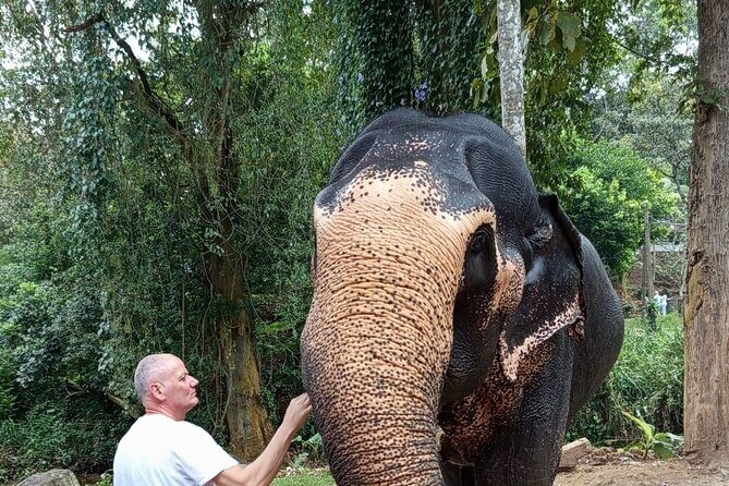 From Colombo: Kandy and Pinnawala Full-Day Trip - Key Points