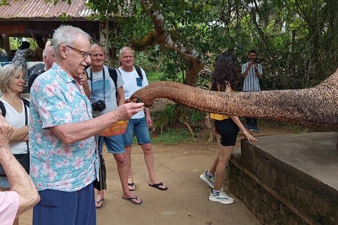 From Colombo: Kandy and Pinnawala Full-Day Trip - Who Is This Tour Best Suited For?