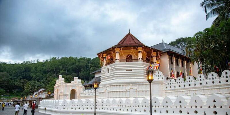 From Colombo: Kandy and Pinnawala Full-Day Trip - An In-Depth Look at the Tour Experience