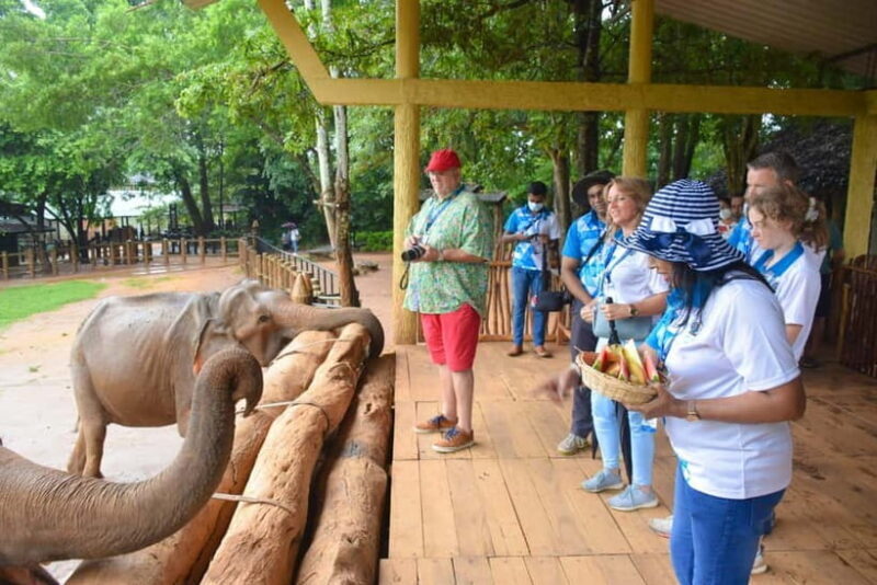 From Colombo: Kandy and Pinnawala Orphanage Short Excursions - FAQ