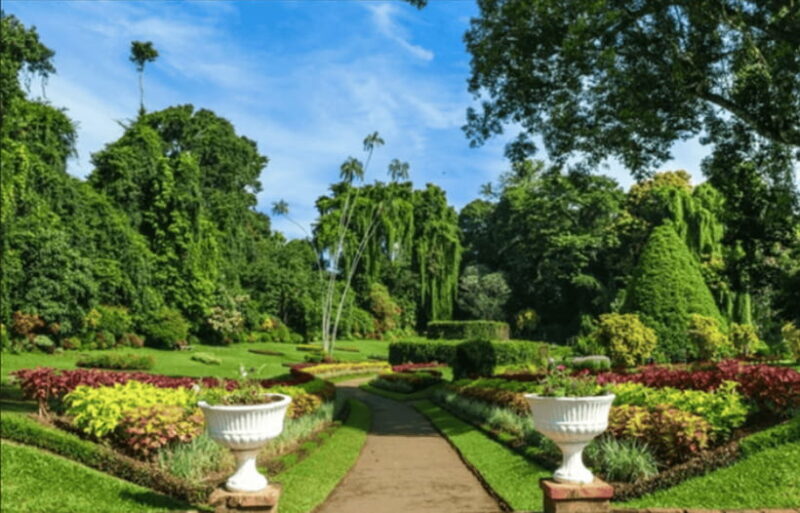 From Colombo: Kandy and Tea Plantations Day Trip - Practical Details and Tips