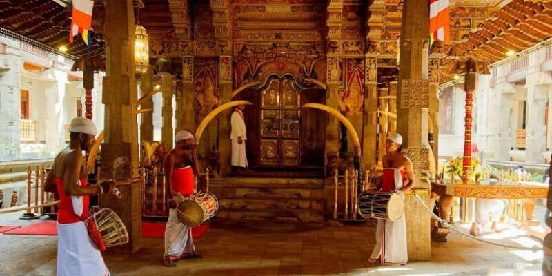 From Colombo: Kandy & Pinnawala & Tea Factory Full Day Trip - An In-Depth Look at the Tour