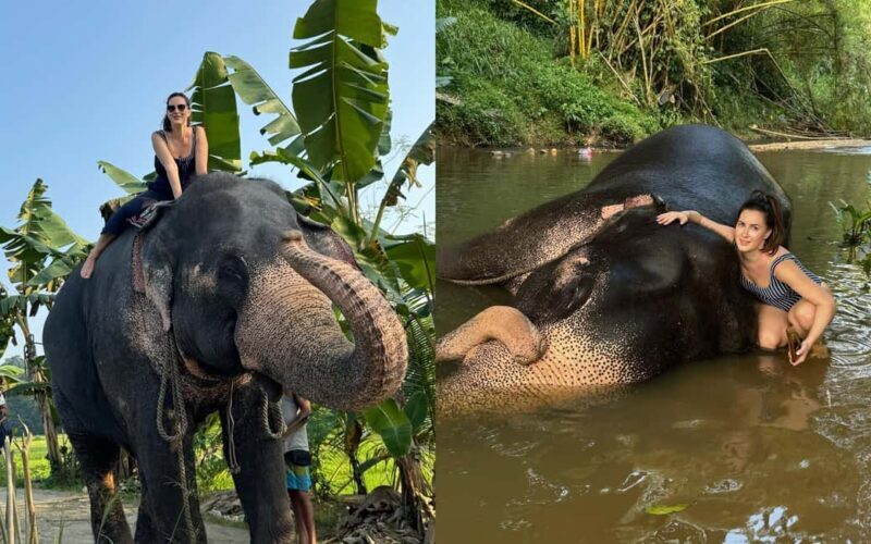 From Colombo: Kandy Temple of Tooth & Elephant Orphanage - Key Points