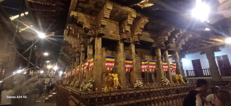 From Colombo: Kandy Temple of Tooth & Elephant Orphanage - The Sum Up