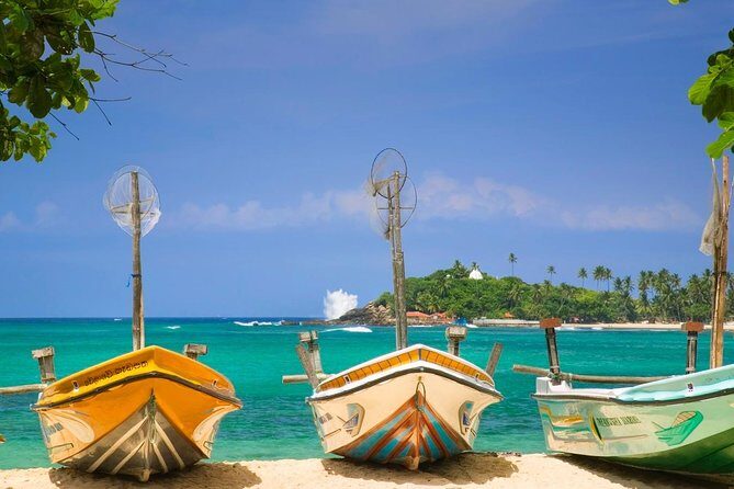 From Colombo/ Negambo - Southern SriLanka Day Trip - An In-Depth Look at Your Day Trip