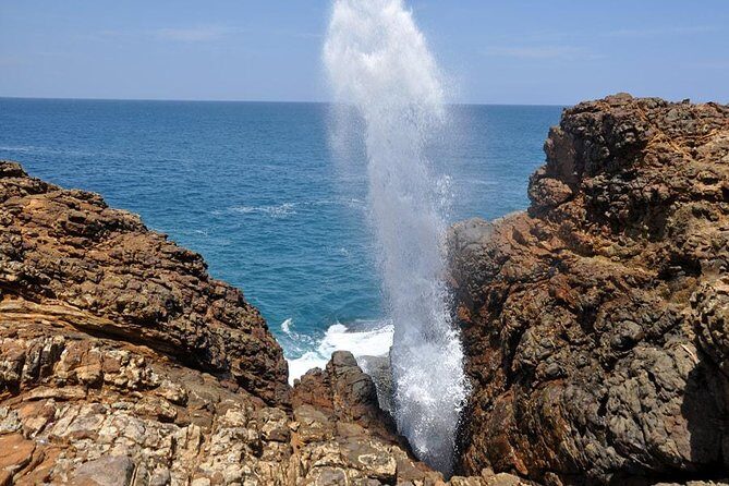 From Colombo/ Negambo - Southern SriLanka Day Trip - FAQ