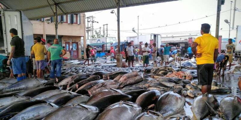 From Colombo: Negombo Fishing Village Tour by Tuk-Tuk - Who Should Book This Tour?