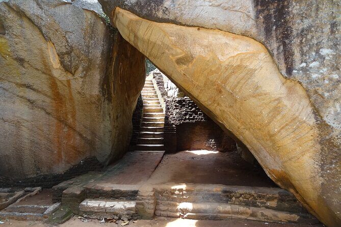 From Colombo/Negombo to Sigiriya, Dambulla Day Trip & Safari - Final Recommendation