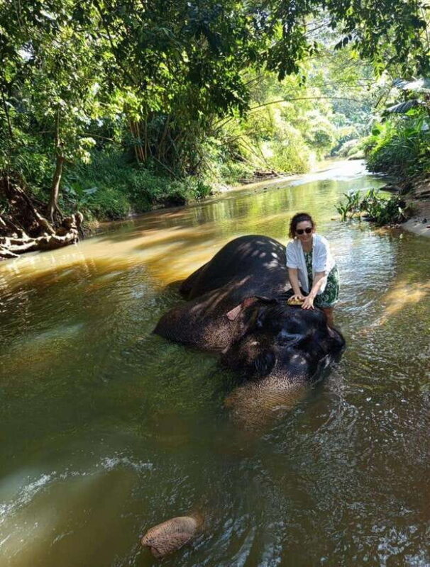 From Colombo or Negombo: Pinnawala, Kandy & Tea Factory Tour - The Value of the Tour