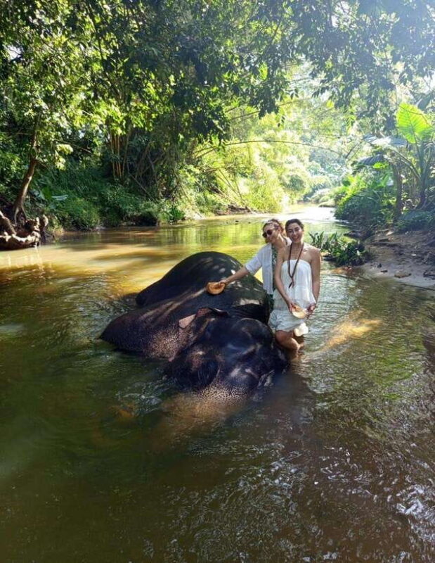 From Colombo or Negombo: Pinnawala, Kandy & Tea Factory Tour - Final Thoughts