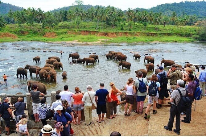 From Colombo: Overnight Tour to Kandy and Transfer to Sigiriya - Key Points