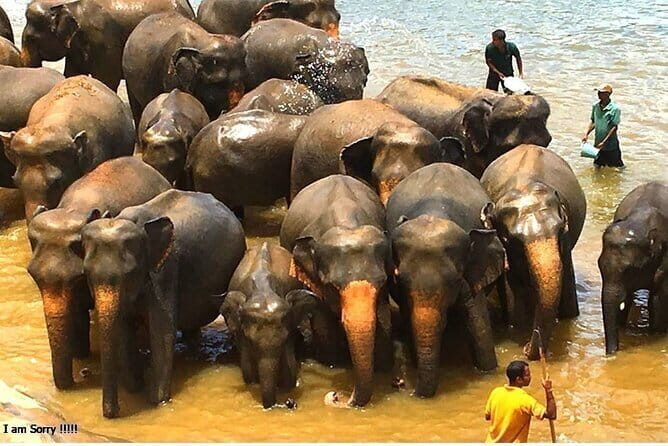 From Colombo: Overnight Tour to Kandy and Transfer to Sigiriya - The Real Value of This Tour