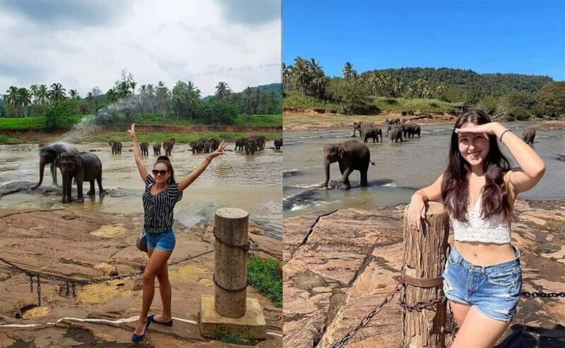 From Colombo: Pinnawala & Tea factory with Kandy Hotel Drop - The Experience in Detail