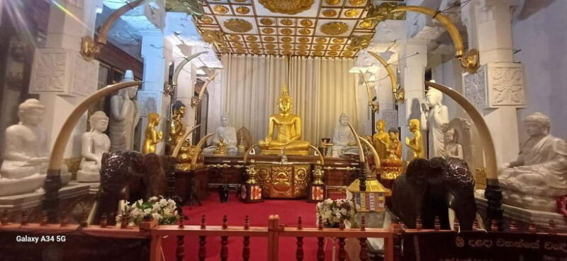 From Colombo: Pinnawala & Tea factory with Kandy Hotel Drop - Final Thoughts